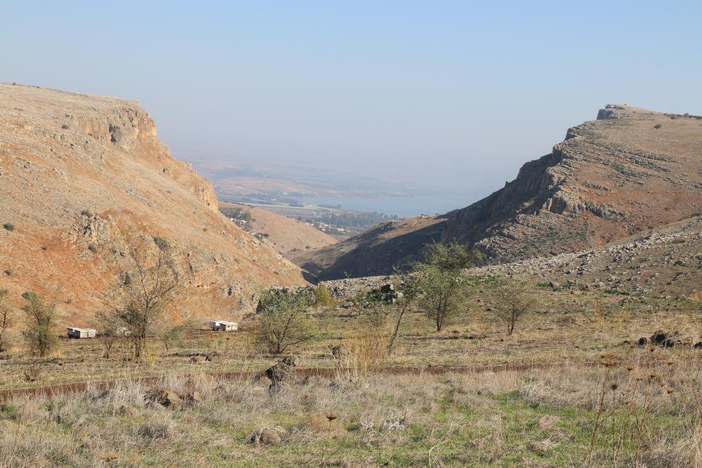 Switzerland In The Arbel Pensionat Rum bild